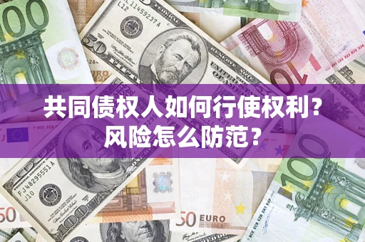 北京共同债权人如何行使权利？风险怎么防范？
