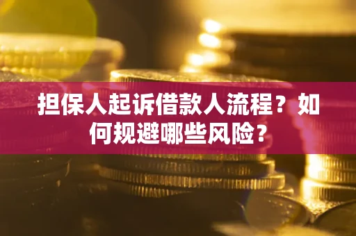 北京担保人起诉借款人流程？如何规避哪些风险？
